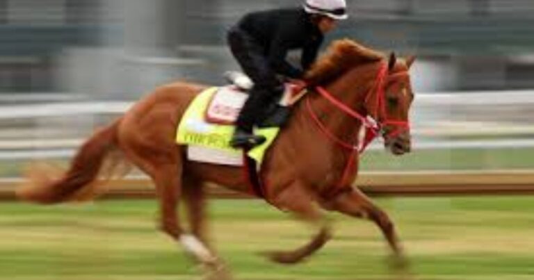 360horse-names-2026-edition-by-coat-color-and-personality