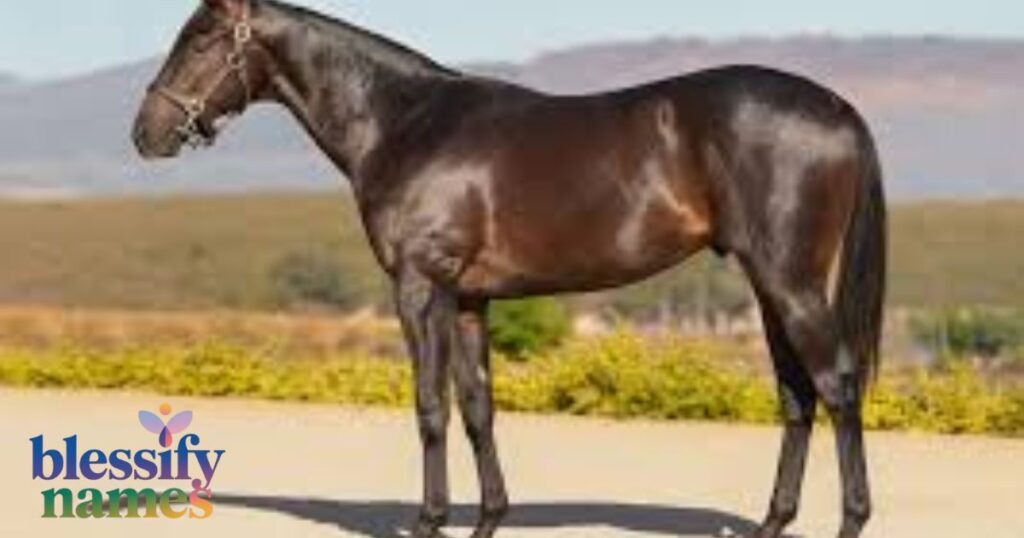 coat-colour-names-to-name-your-horse
