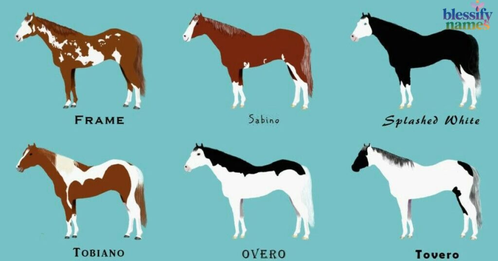 names-to-name-a-horse-based-on-personality