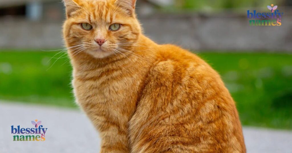 Sweet Autumn and Nature-Inspired Ginger Names