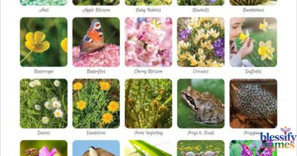 nature-inspired-wilderness-titles-for-free-spirited-toddlers