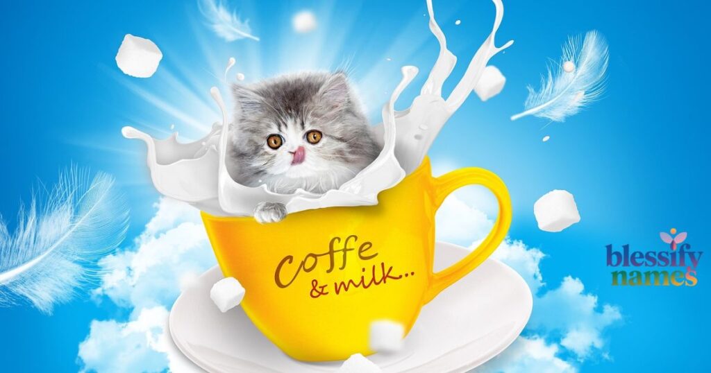 sweet-food-inspired-names-for-fluffy-white-kittens